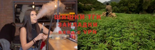 трава Беломорск