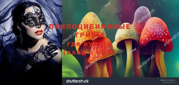 гидра Белоозёрский