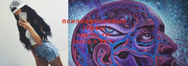 трава Беломорск