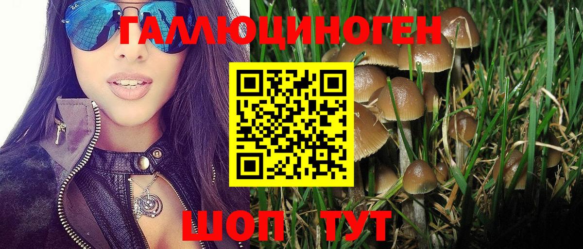 Галлюциногенные грибы Psilocybe  Вход с VPN  Печора 