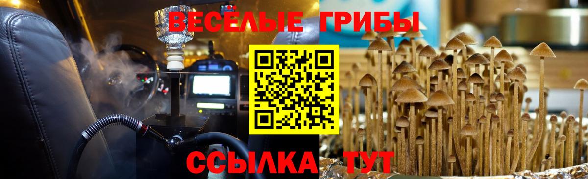 Псилоцибиновые грибы MAGIC MUSHROOMS Печора